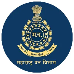 Exam Logo