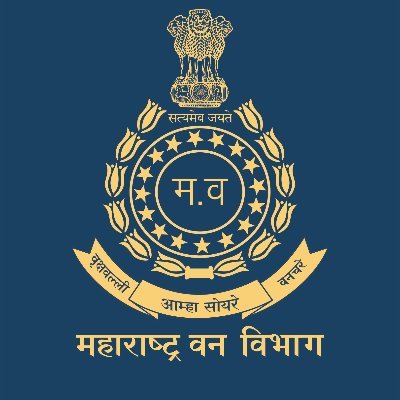 Exam Logo